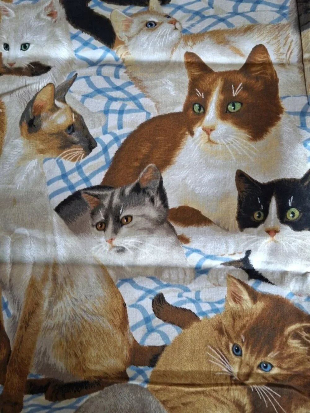 Daisy Kingdom Cotton Fabric #1872 Cats Meow Allover  1 yard x 44